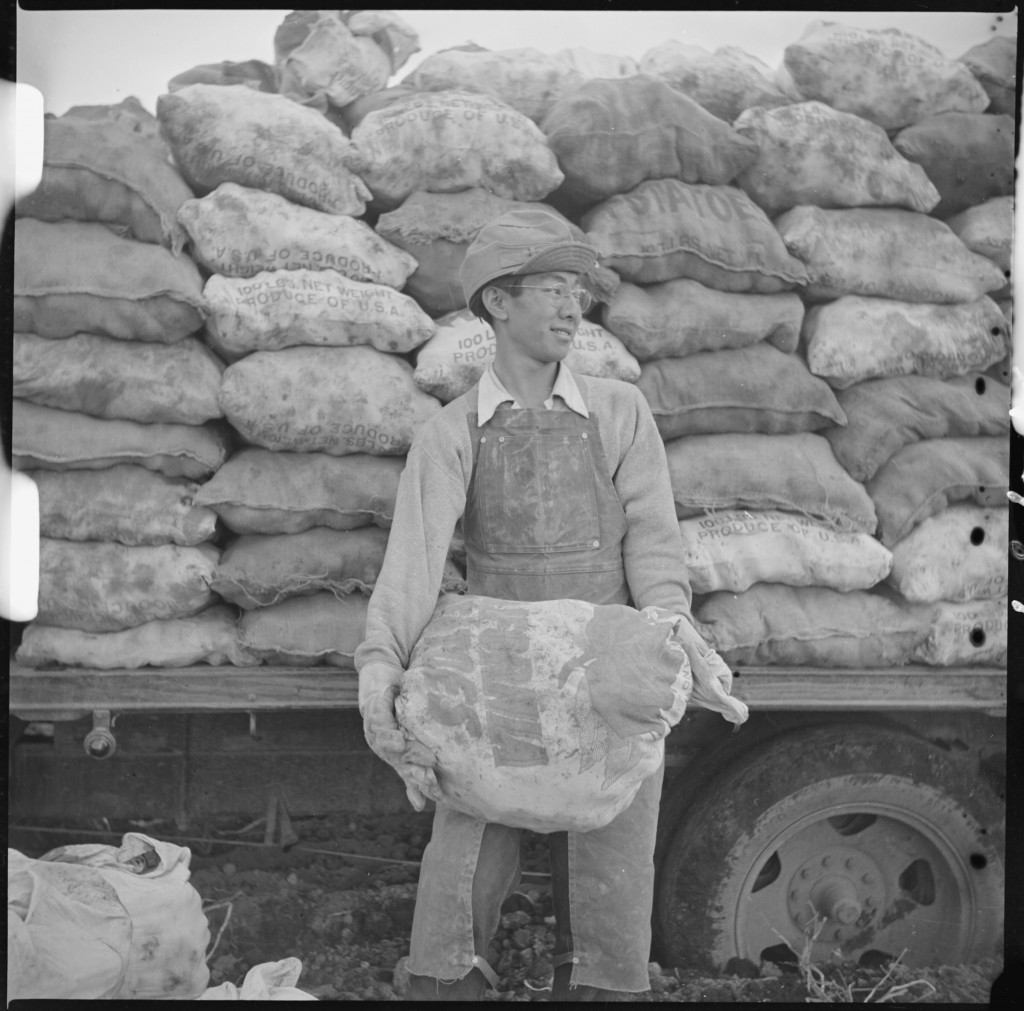 Original WRA caption: An evacuee farmer ready to put a sack of newly dug potatoes on the truck at the farm at this relocation center. Tule Lake concentration camp, November 1942. National Archives and Records Administration. 