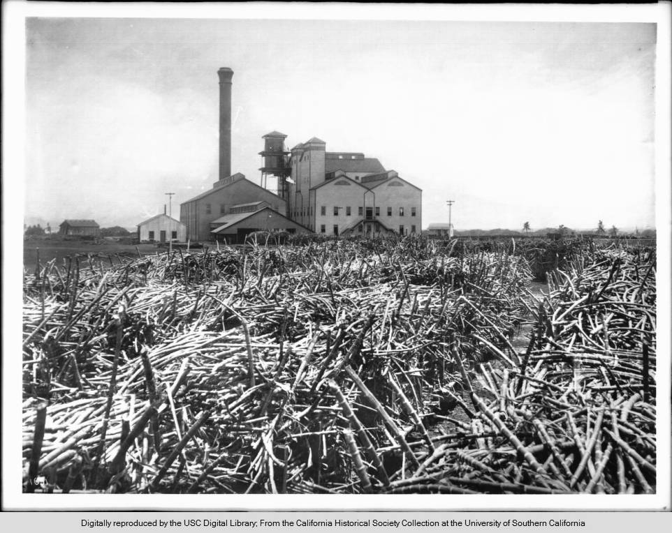 Hawaiian sugar mill with cut sugarcane in the foreground.