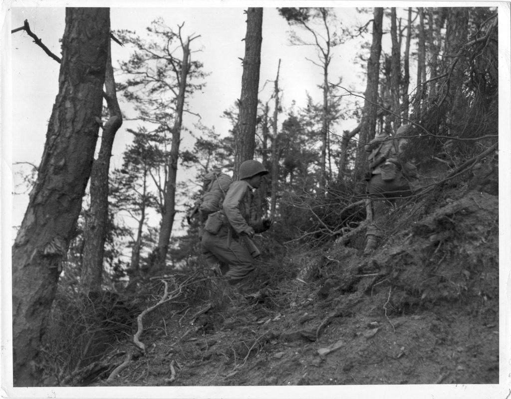 Two Japanese American soldiers climbing a steep, forested hill in the Vosges mountains during the Rescue of the Los Battalion.