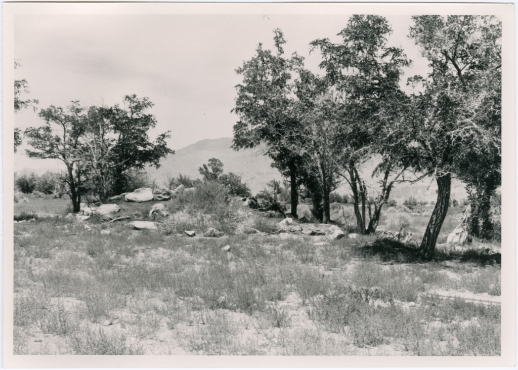 Black and white photo of the remains of a rock garden at the former site of Manzanar concentration camp. Some large rocks are visible on a grassy mound with trees on either side.
