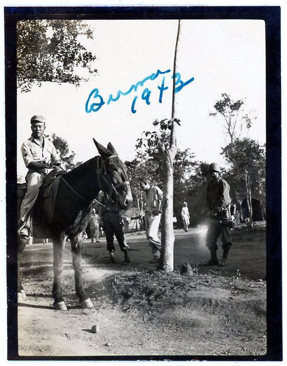 Photo of a Japanese American soldier sitting on a mule in a military camp in Myanmar. Other soldiers and trees are visible in the background.