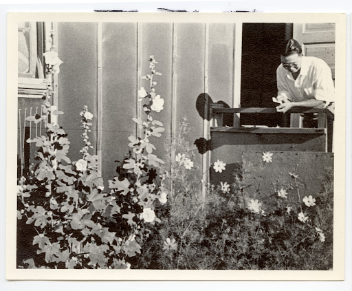 Black and white photo of a Japanese American man looking at a flower garden in Heart Mountain. He is standing on a small wooden porch in the front of a barrack, looking down at the flowers.