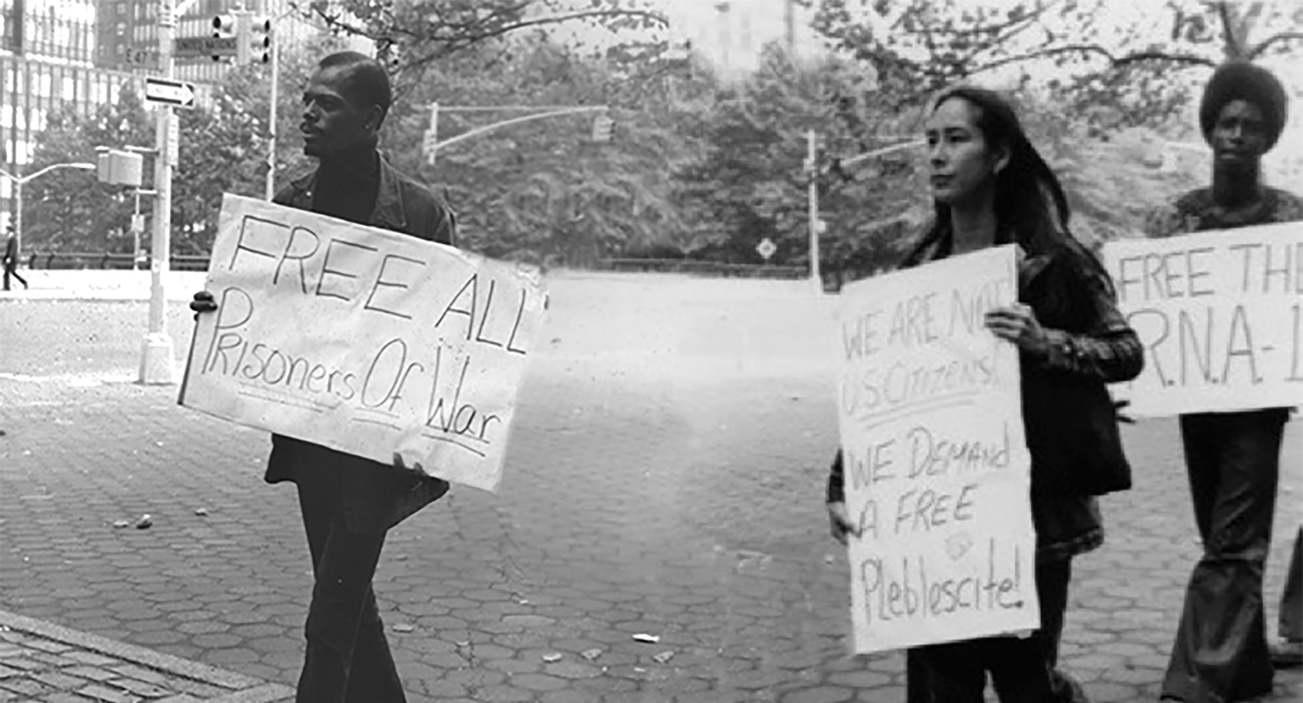 Nobuko Miyamoto, Attallah Ayyubi, and another marcher at a Republic of New Africa demonstration in 1973. They are holding signs that read "Free All Prisoners of War," "We are not US citizens, we demand a free pleblescite!" and "Free the R.N.A."