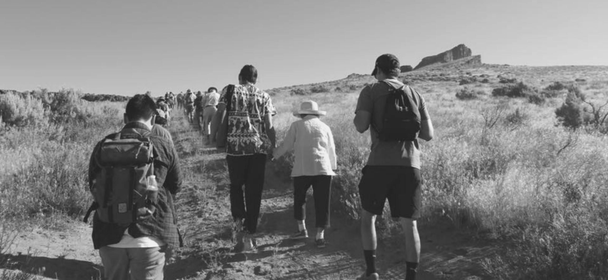 Descendants of incarcerees and their family hike down a long path at a pilgrimage to a Japanese American incarceration site
