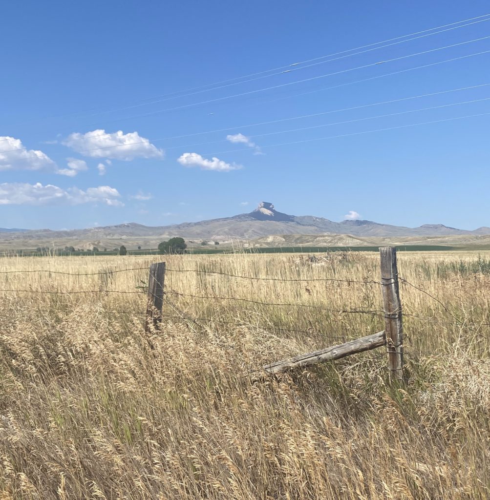 Landscape with Heart Mountain rising over a wide field and an old barbed wire fence in the foreground.