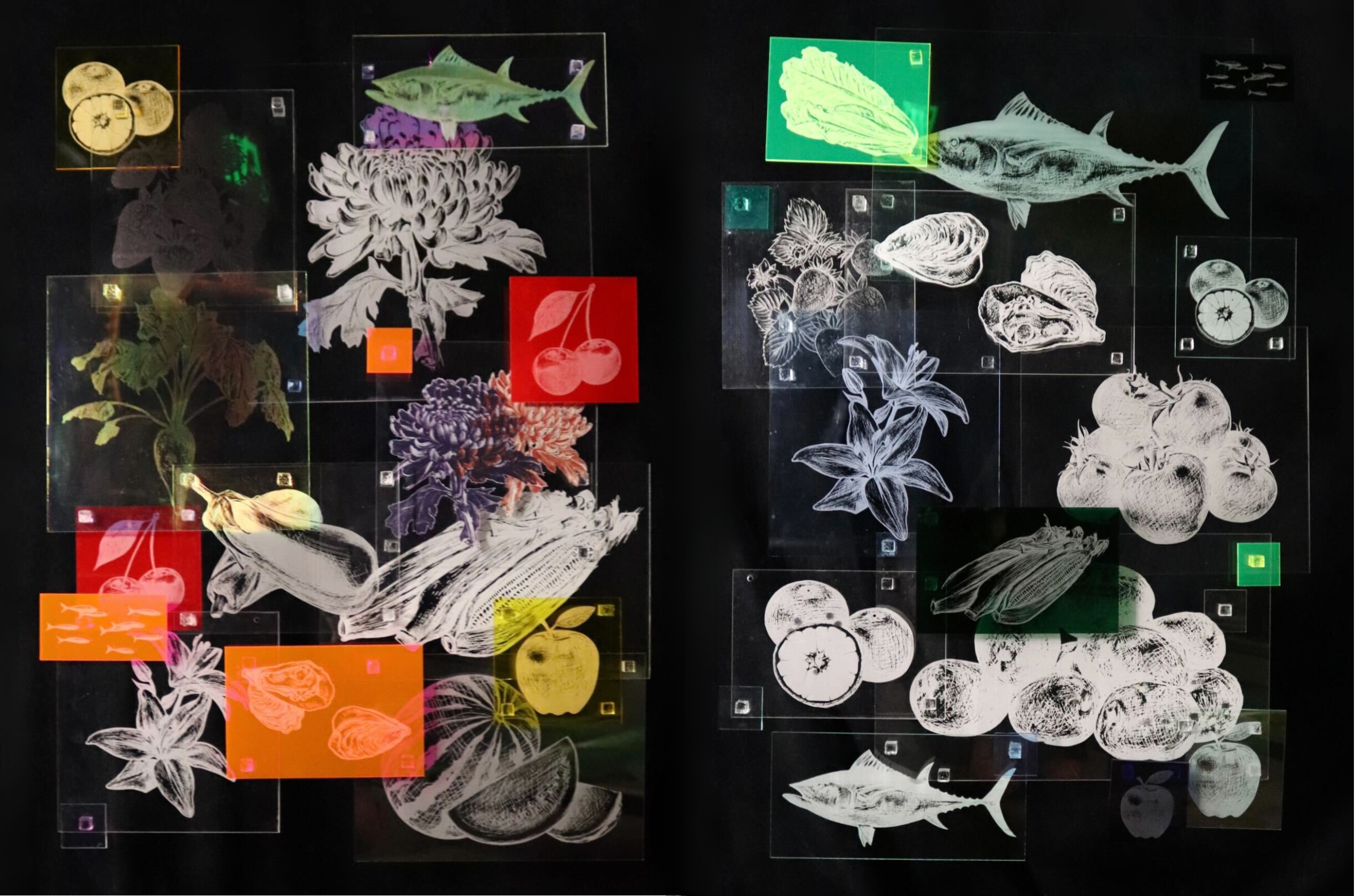 Print Garden by Kanon Shambora. The artwork features several acrylic plates with laser cut drawings of fruits, vegetables, flowers and fish cultivated and caught by Japanese American agricultural workers prior to World War Two incarceration.