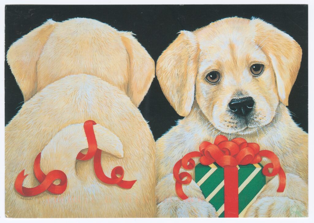 Holiday card to Homer & Miyuki Yasui from Yuka Fujikura (December 12, 1997).