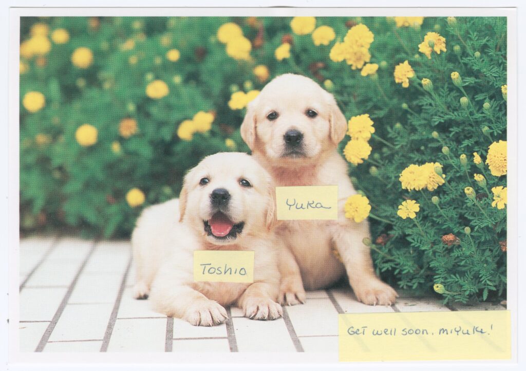 Letter to Homer & Miyuki Yasui from Yuka Fujikura (August 2, 1996).