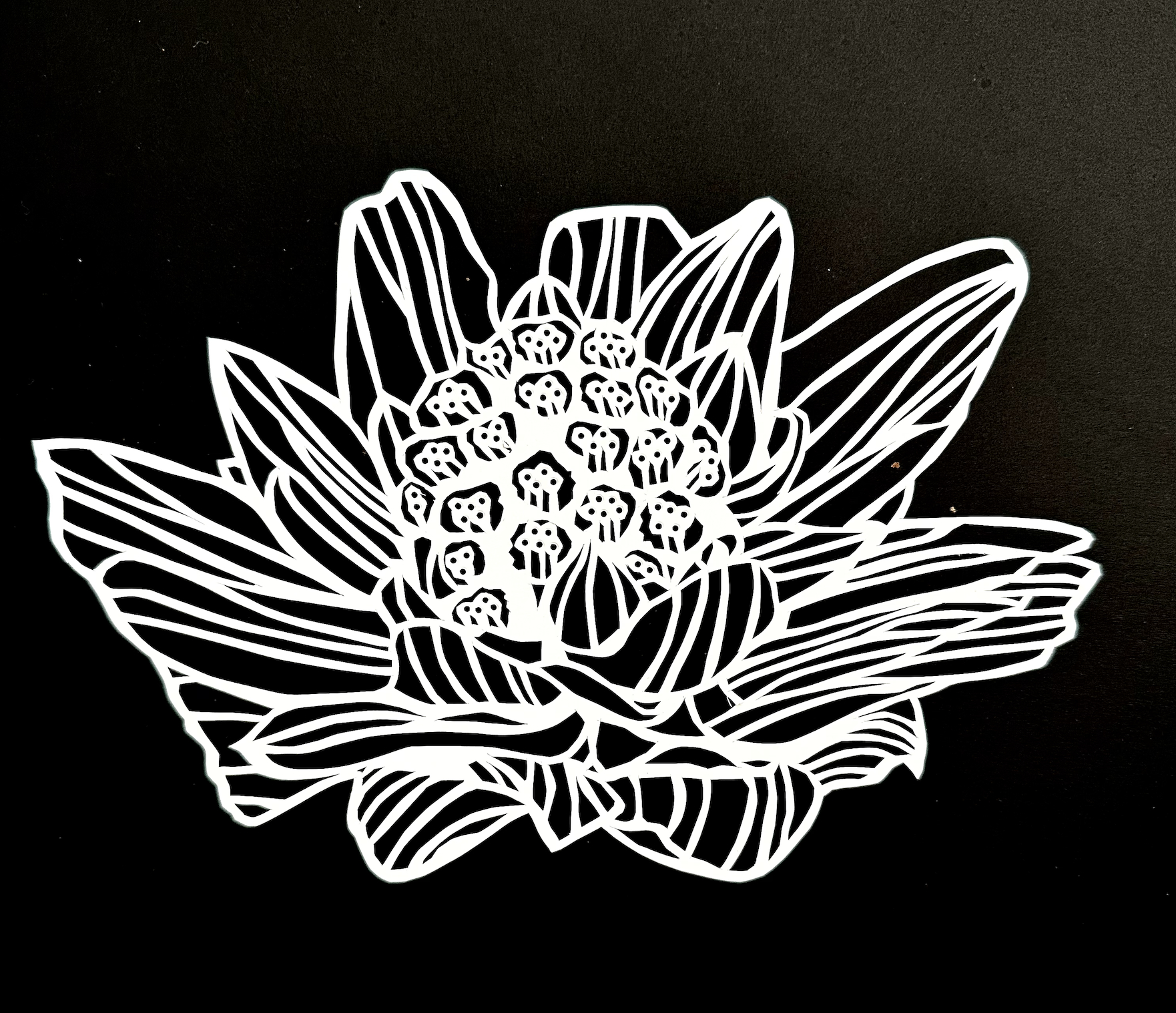 Artwork of white lotus flower cutout on black background. This is a hand-cut stone, polymer, and washi paper artwork.