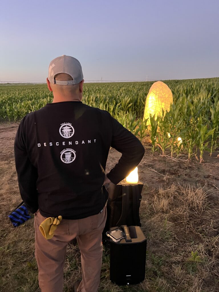 A man, Glenn Mitsui, facing away from the camera, looking at the Wakasa Spirit Stone, a paper mache sculpture, which is in a field of corn.