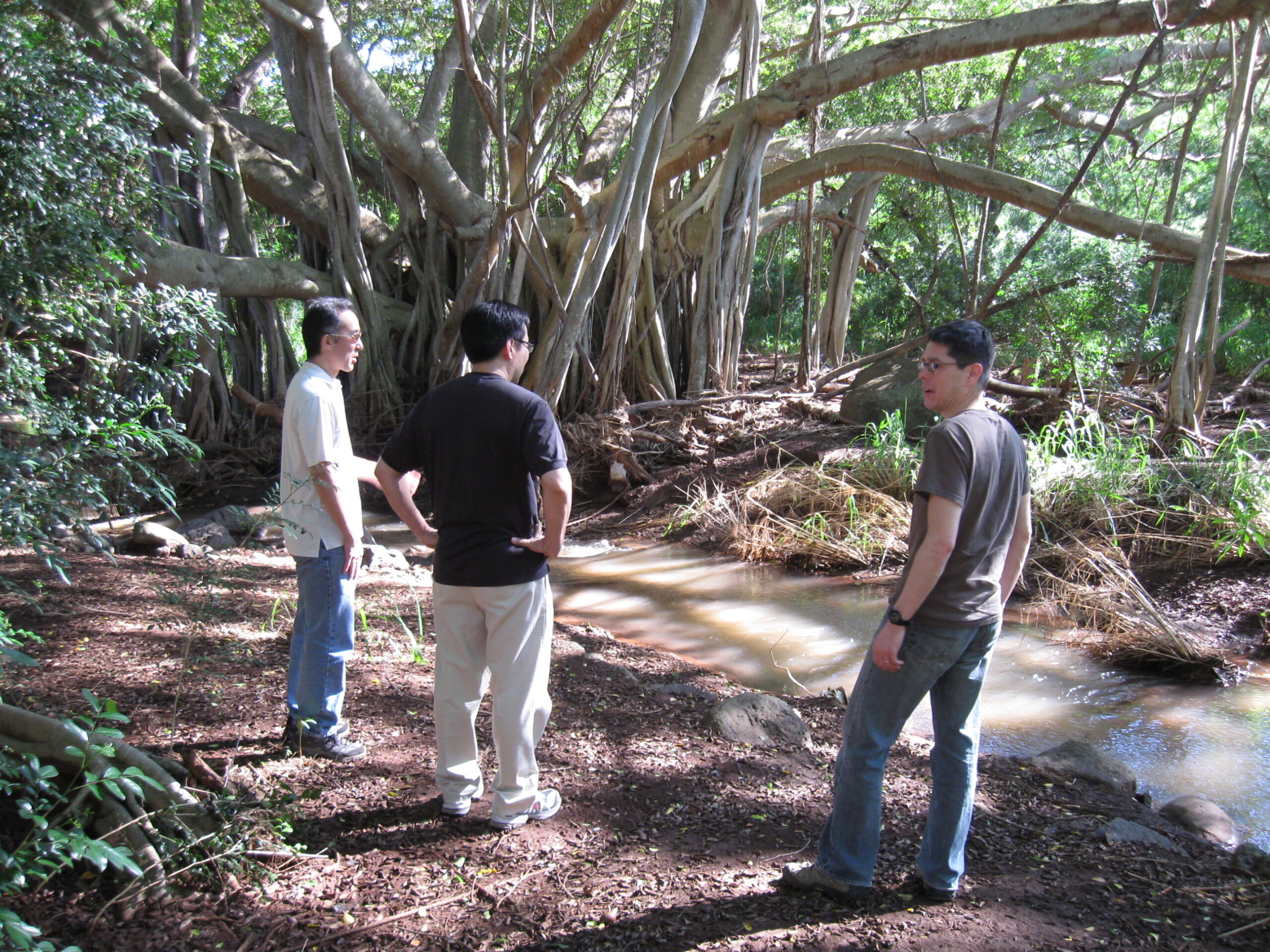 Three men look away from the camera in a lush and dense tropical setting. A creek is running through the landscape.