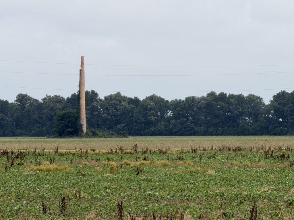 A tall brick smokestack, that is breaking at the top, overgrown with vines, rises above a tree line beyond a cultivated field.