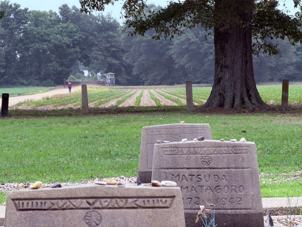 Cemetery headstones with small rocks stacked on top in foreground. Large tree and farm fields in background, along with a small figure walking away. Small guard tower in far distance.